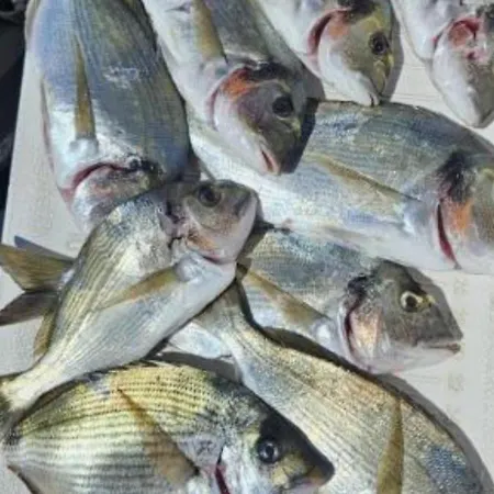 Marta - Free Parking! Daire