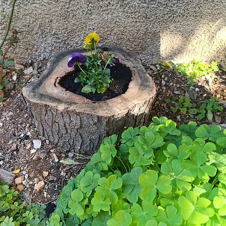 Daire Marta - Free Parking! *