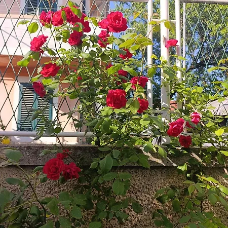 Marta - Free Parking! Appartement *