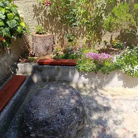 Marta - Free Parking! *