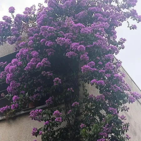 Appartement Marta - Free Parking! *