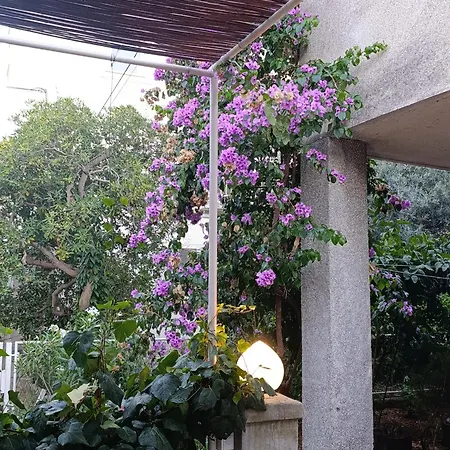 Apartamento Marta - Free Parking! *