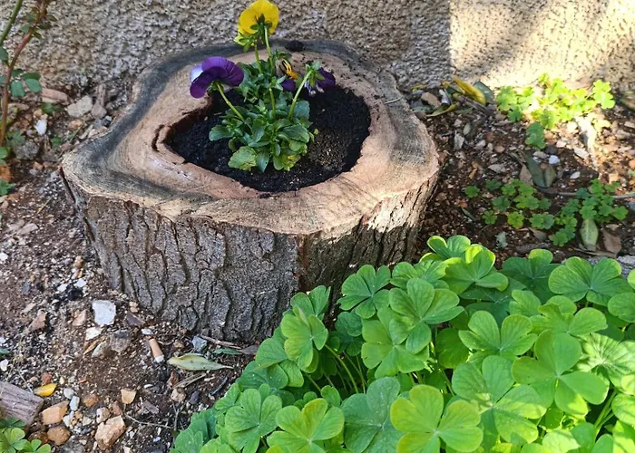 Apartament Marta - Free Parking! *