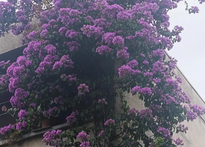 公寓 Marta - Free Parking! *