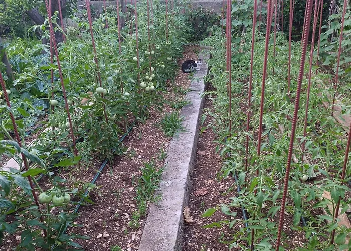 Marta - Free Parking! * 斯普利特